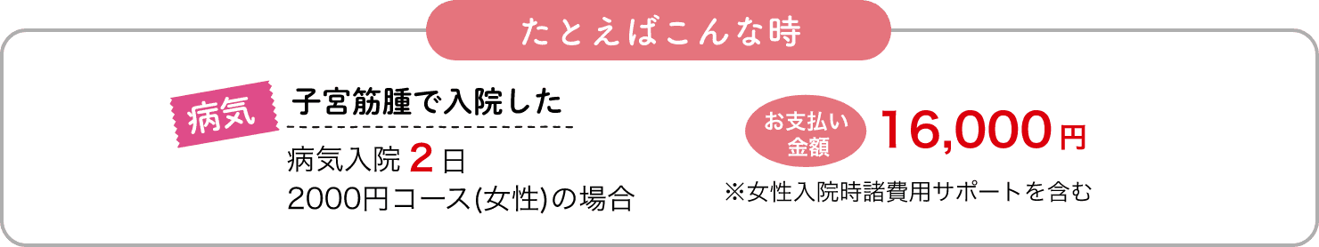 たとえばこんな時 病気 子宮筋腫で入院した病気入院2日 2000円コース(女性)の場合お支払い 金額 16,000 円※女性入院時諸費用サポートを含む