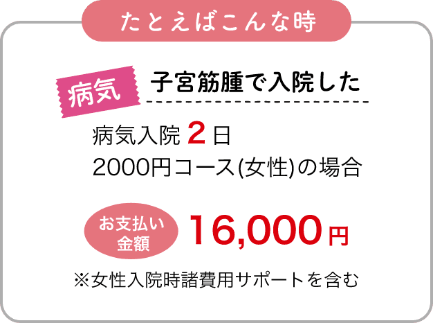 たとえばこんな時 病気 子宮筋腫で入院した病気入院2日 2000円コース(女性)の場合お支払い 金額 16,000 円※女性入院時諸費用サポートを含む