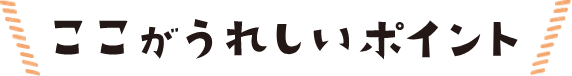 ここがうれしいポイント
